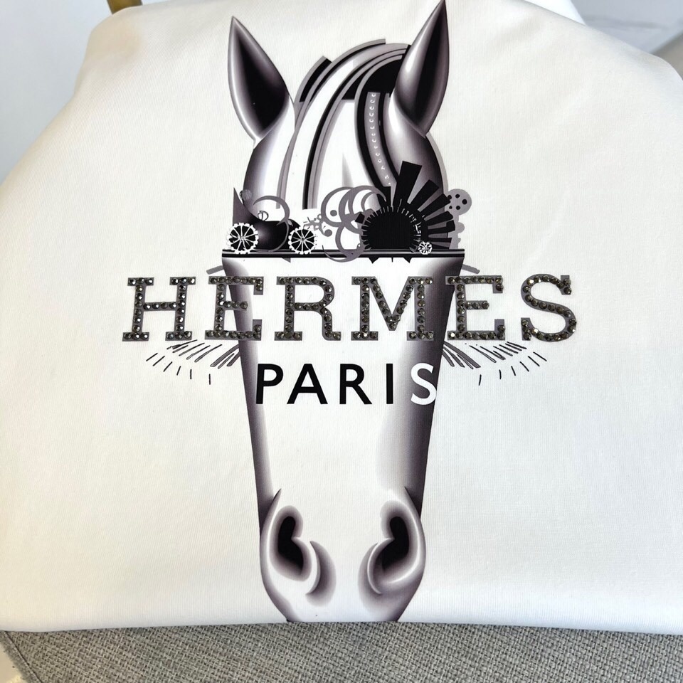 HERMES 00858