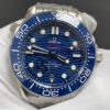 Omega Seamaster Diver 300m - Blue Dial & Bracelet Strap