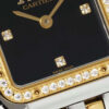 Cartier Panthere Small Model Quartz Diamond Black Dial silver white wire