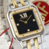 Cartier Panthere Small Model Quartz Diamond Black Dial silver white wire