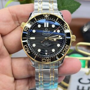 Watch04239 Watch04239